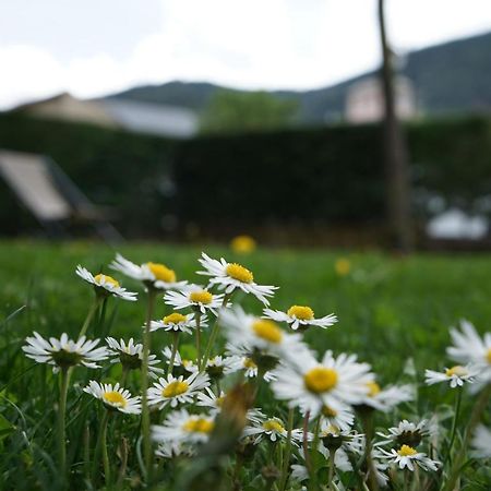 Apartamento Con Jardin En La Cerdanya Err Экстерьер фото